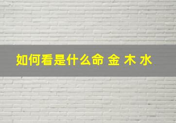 如何看是什么命 金 木 水